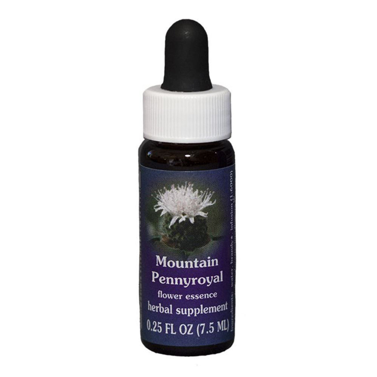 FES_Quintessentials_Mountain_Pennyroyal_7.5ml_media-01_71600787-902d-4874-9458-8102f22a9c8c
