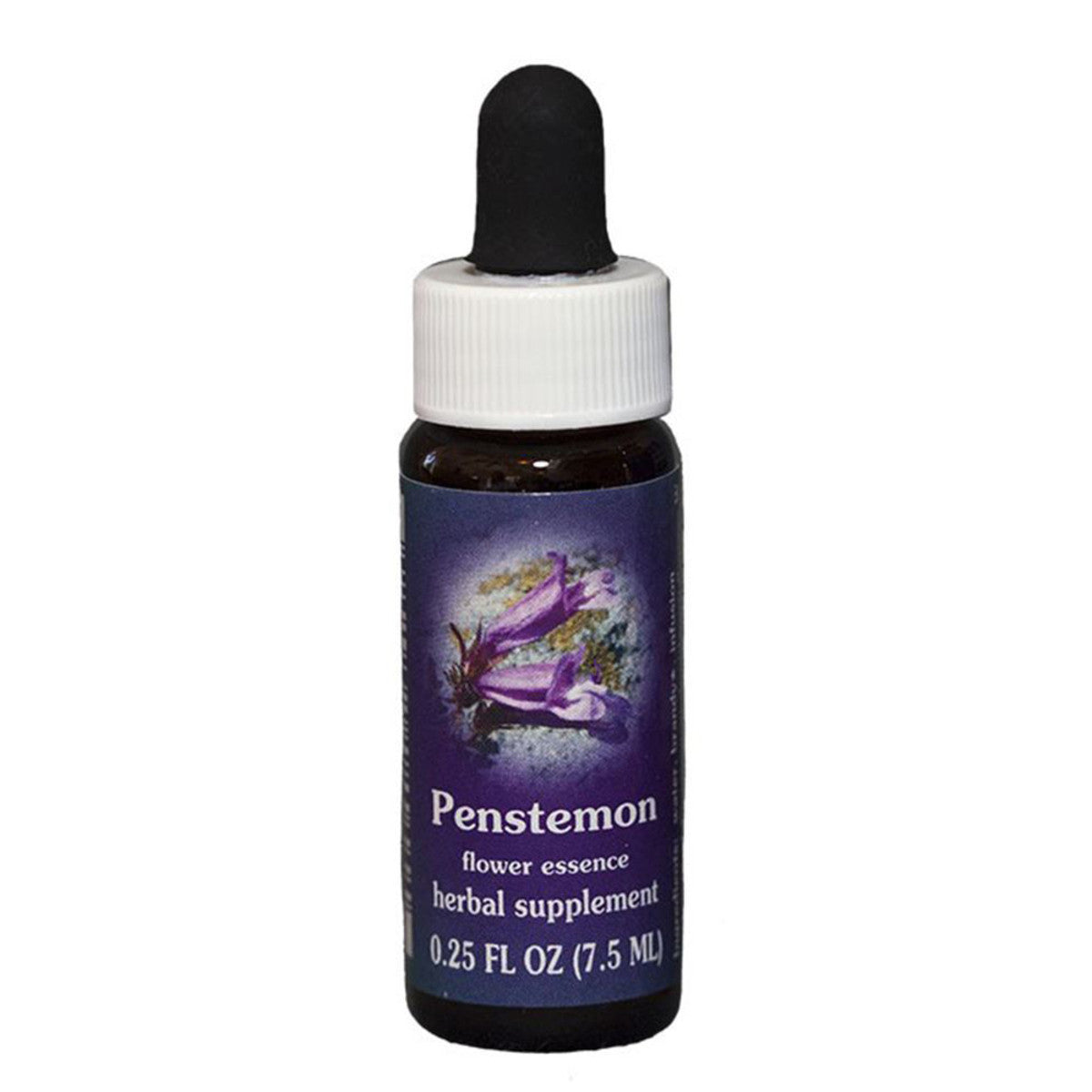 FES_Quintessentials_Penstemon_7.5ml_media-01_9865a3a2-5ce8-4f36-bb4c-5875e347024f