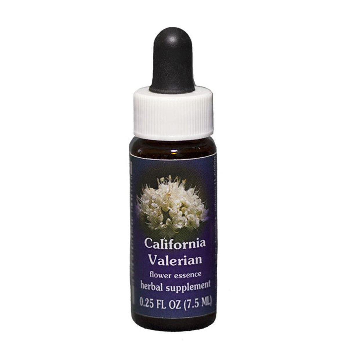 FES_Quintessentials_R.O.Light_California_Valerian_7.5ml_media-01_b74a26dc-8d61-4d1e-809f-9909eaa0f107