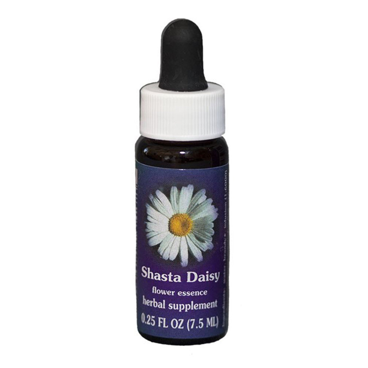 FES_Quintessentials_Shasta_Daisy_7.5ml_media-01_98b2b327-05af-4698-8cc7-3fa19d438a60
