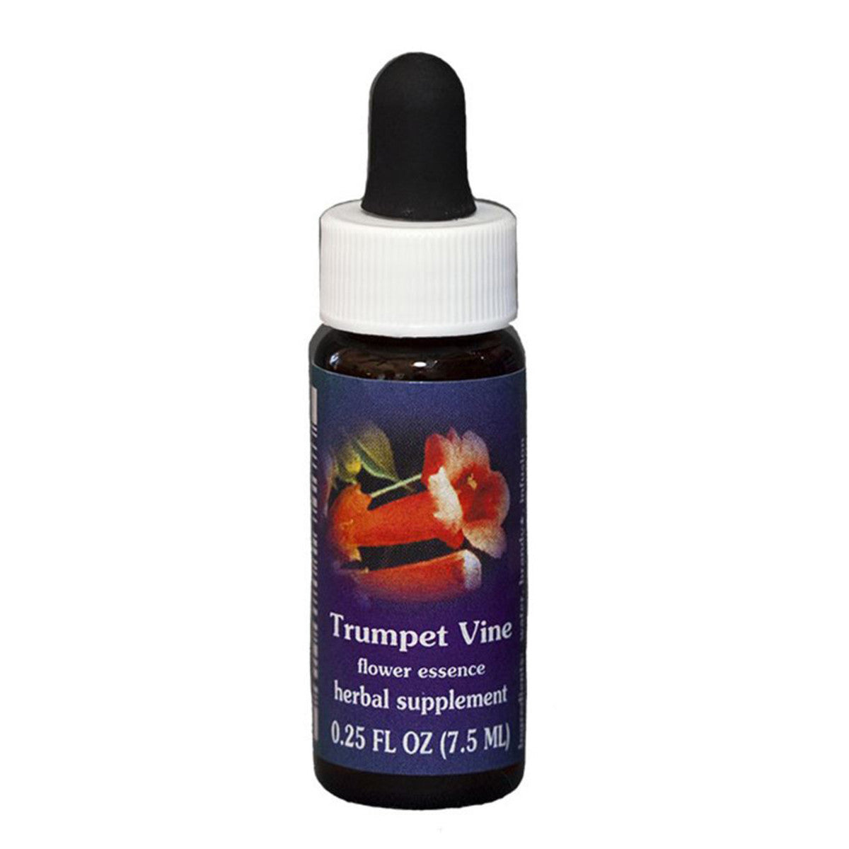 FES_Quintessentials_Trumpet_Vine_7.5ml_media-01_2593a3e0-3e86-4480-8d43-c3bda2a0ae33
