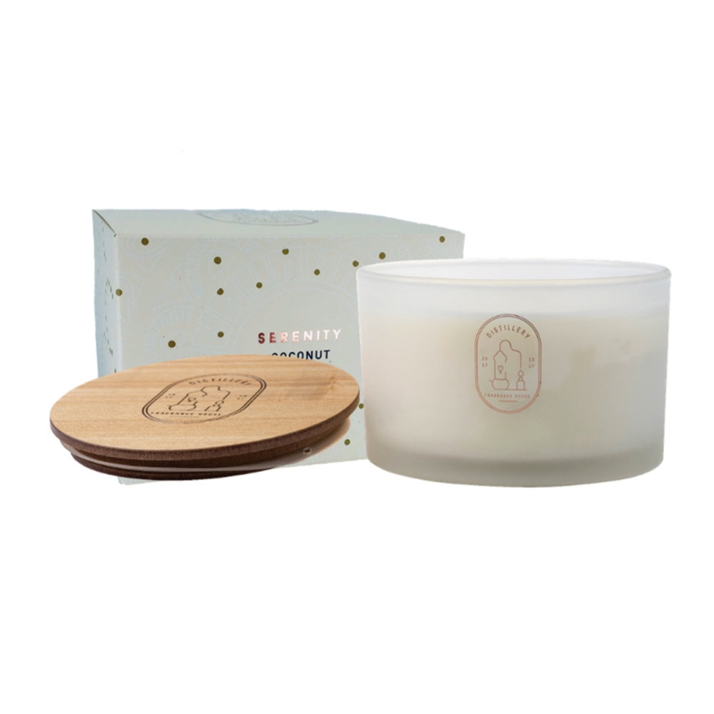 SoyCandleCoconut450g
